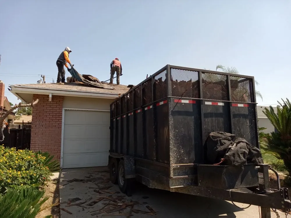 Slide of Shark Construction