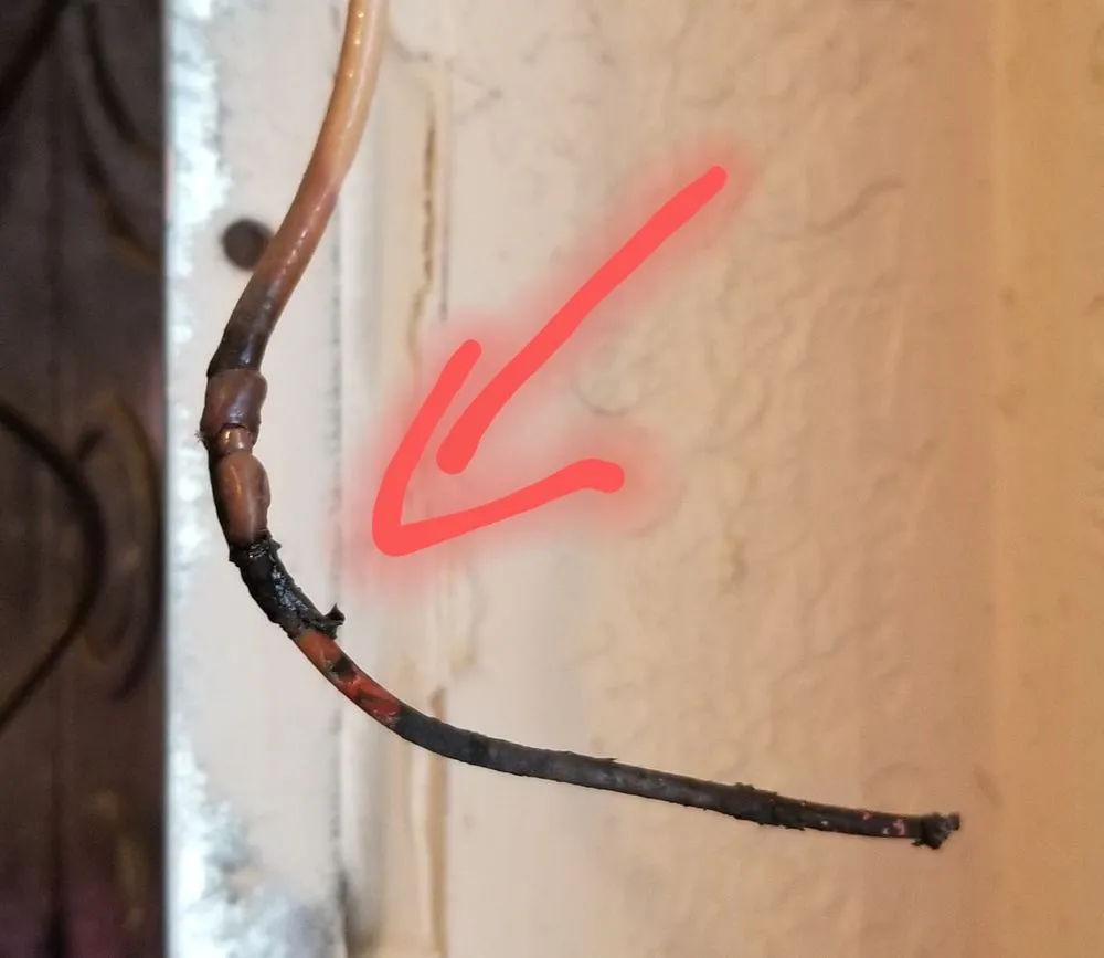 Slide of Sharp Electric