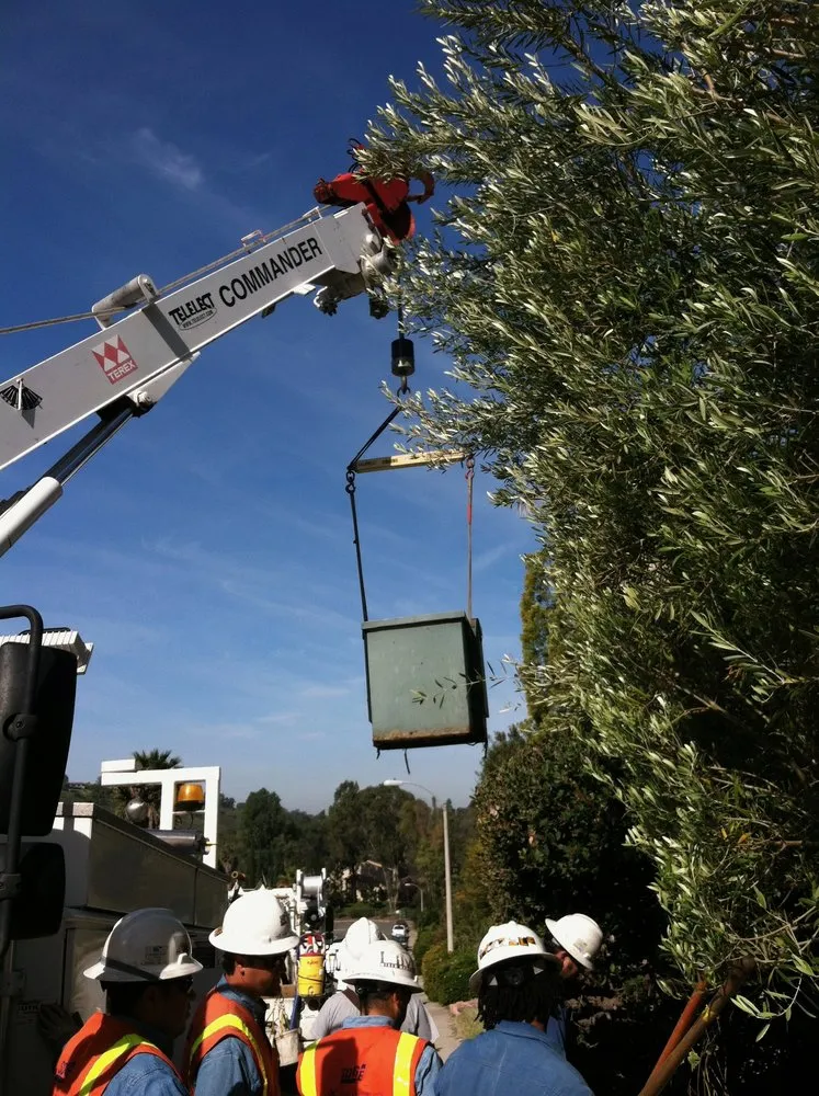 Slide of Shaun Woods Electric and Solar