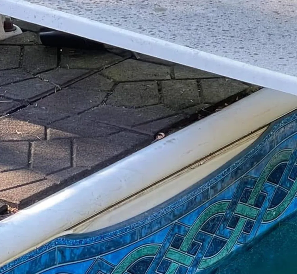 Slide of Sheldons Pool Service