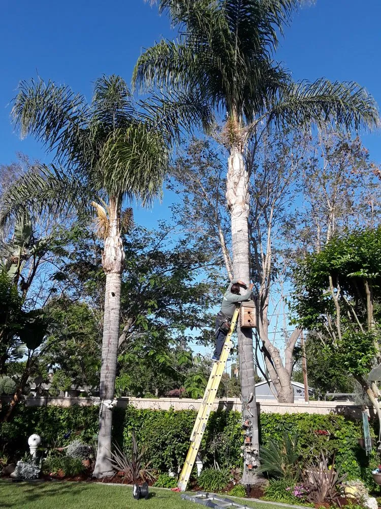 Slide of Shield Electric Services