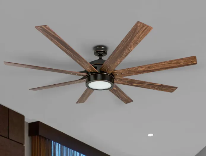 Slide of Shock & Awe