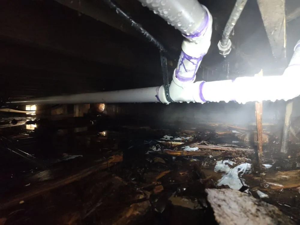 Slide of Shock Lighting