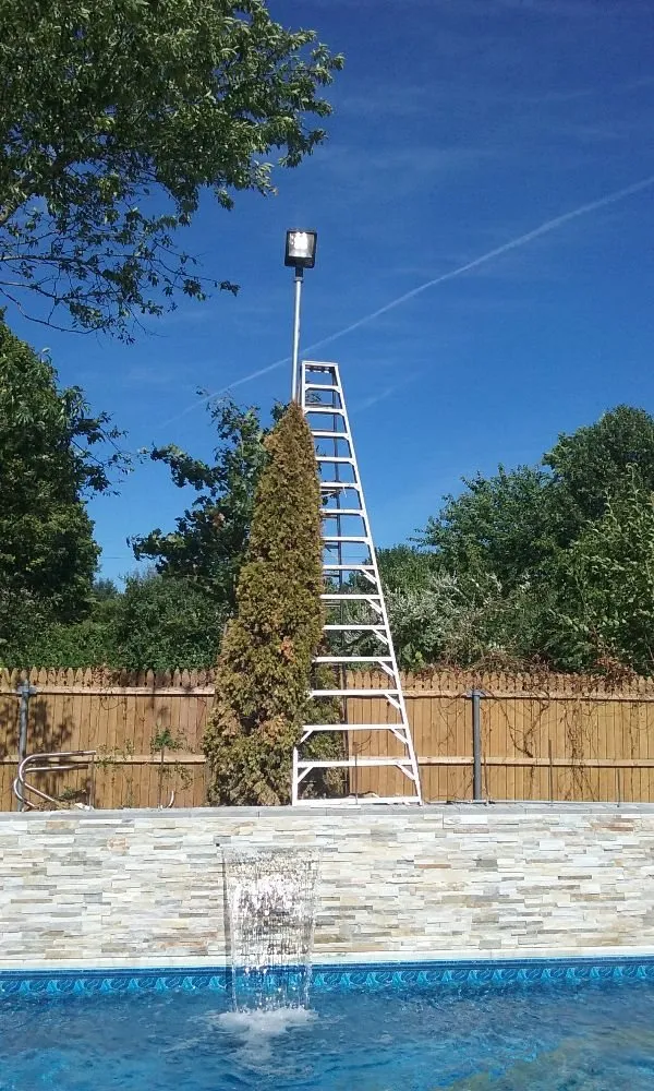 Slide of Shockdocs Electric