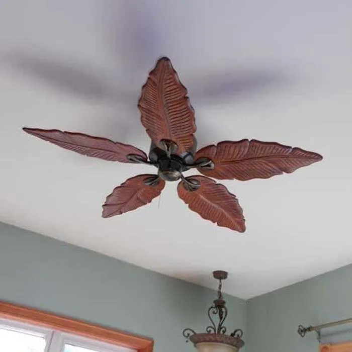 Slide of Shocking Difference