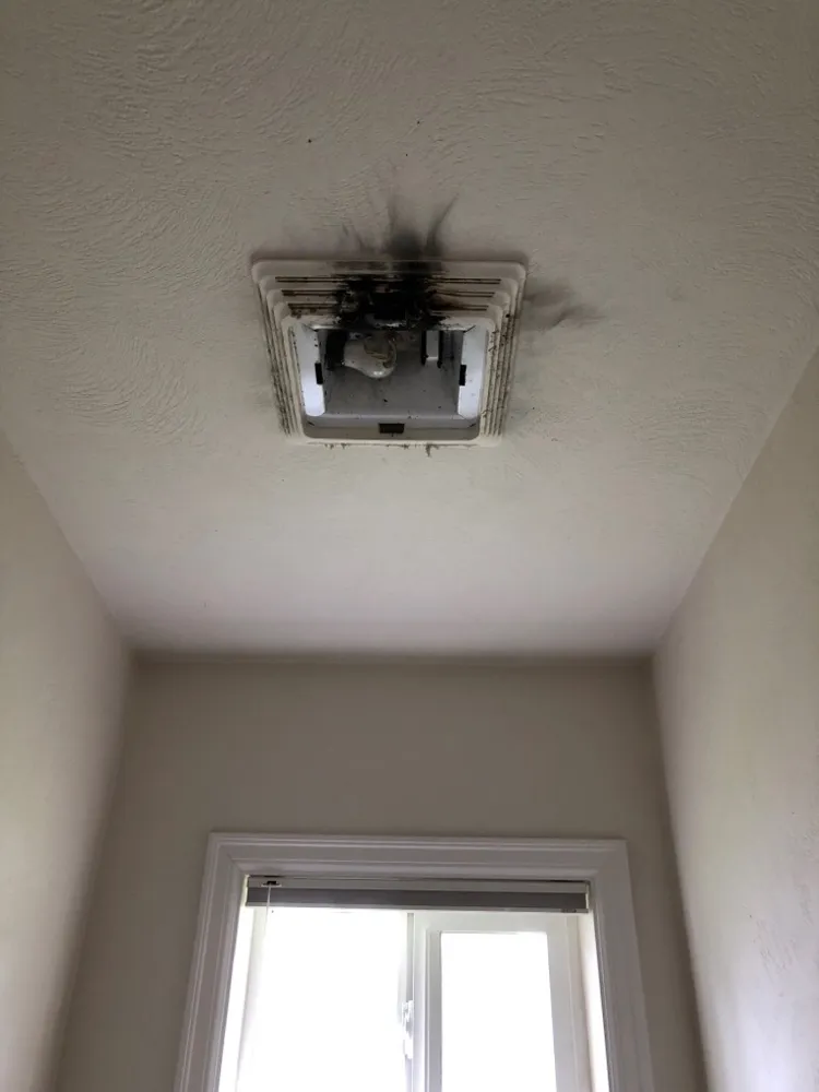 Reliable electrician providing electrical repair in , 