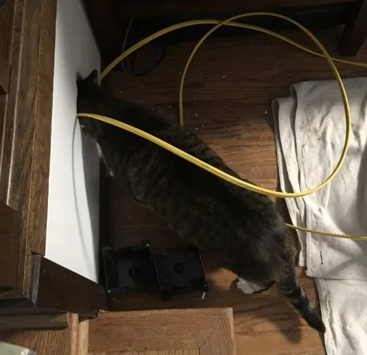 Professional electrical service for homes in outlet and switch repair,  by 