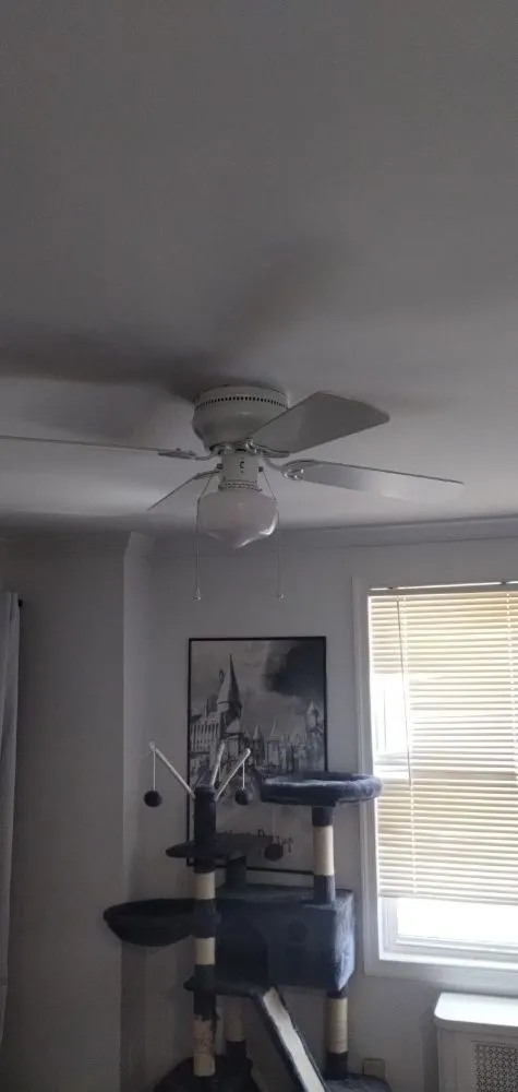 Affordable electrical repair service in , - Shocking Services