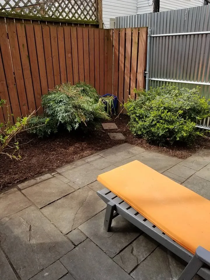 Slide of Shockwave Services