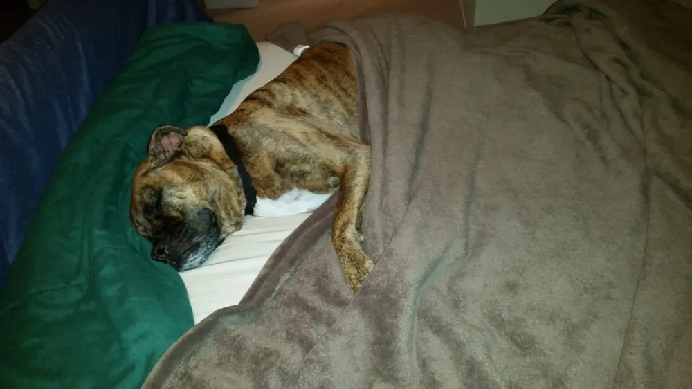 Slide of Shoreline Electric