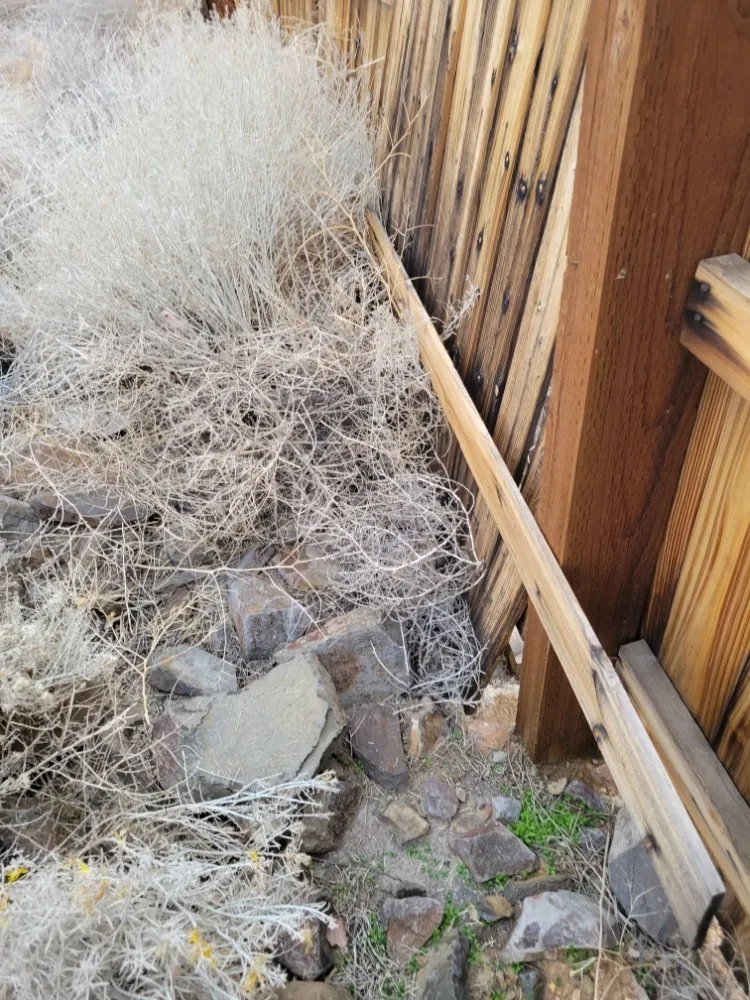 Slide of Sierra NV Elite Handyman