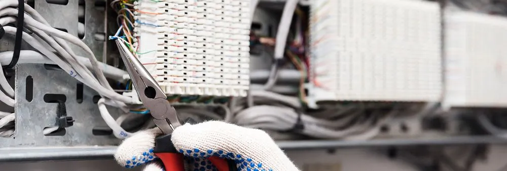 Slide of Signal Electric