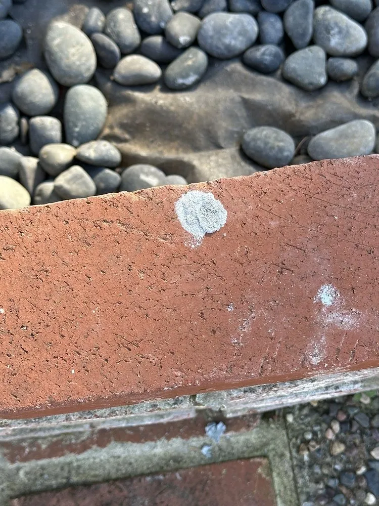 Slide of Silva Contractors