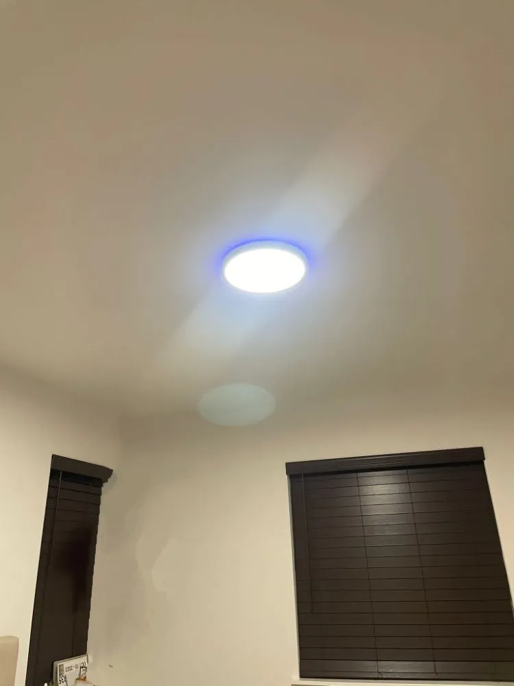 Slide of Silva's Electrician