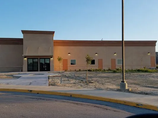 Silver Electric Logo