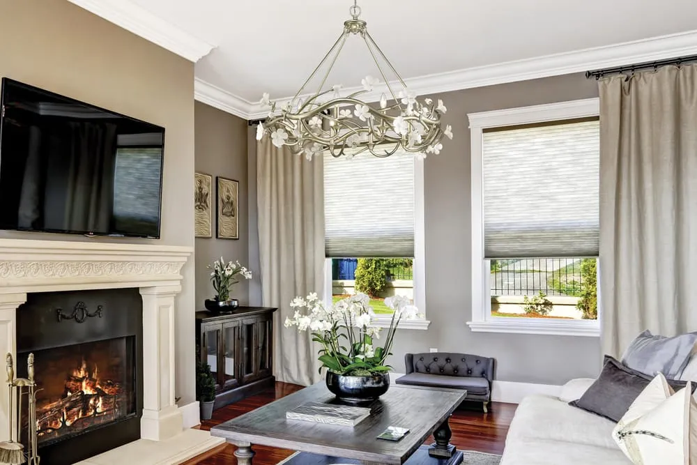 Slide of Silver State Electric