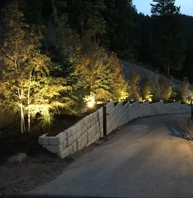 Silver Stone Electric