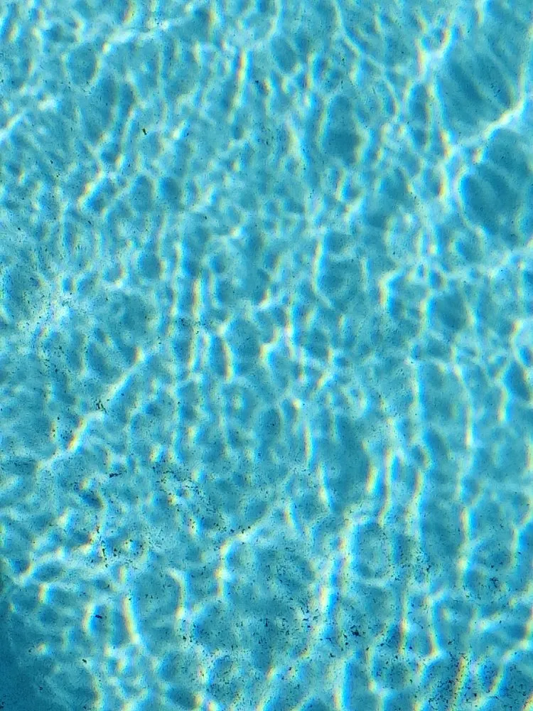 Slide of Silverback General Service