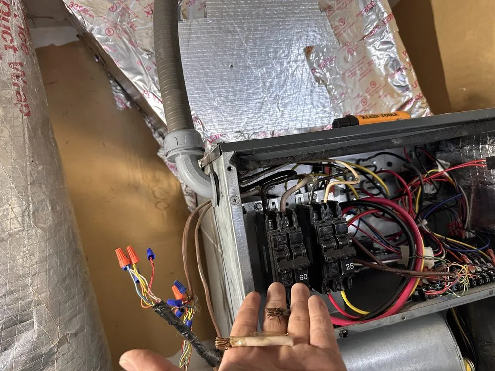 Slide of Simer & Plus