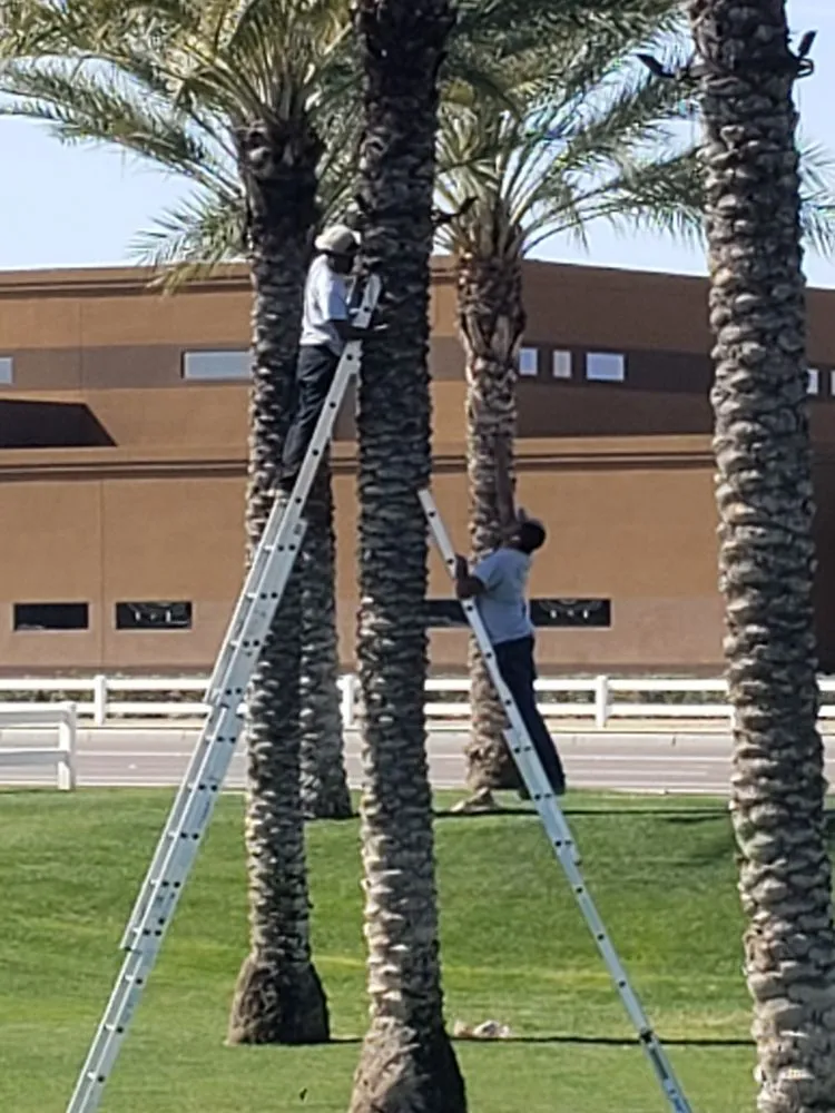 Slide of Simple Electric