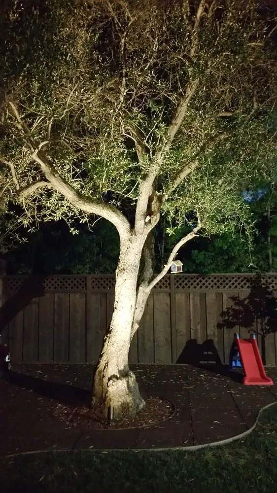 Slide of Simpson Electric