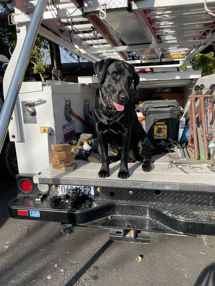 Licensed electrical repair experts serving ,  - SJN Electric