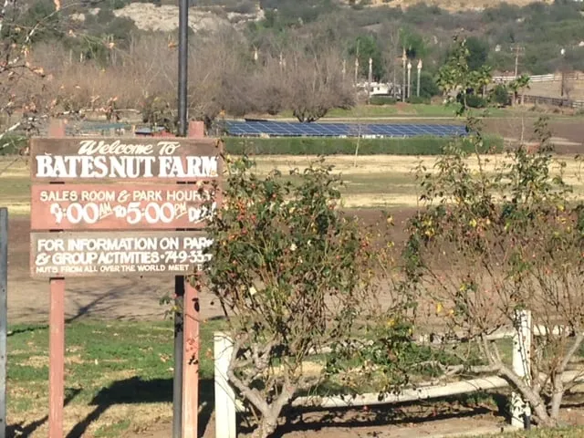 Slide of Skelly Electric