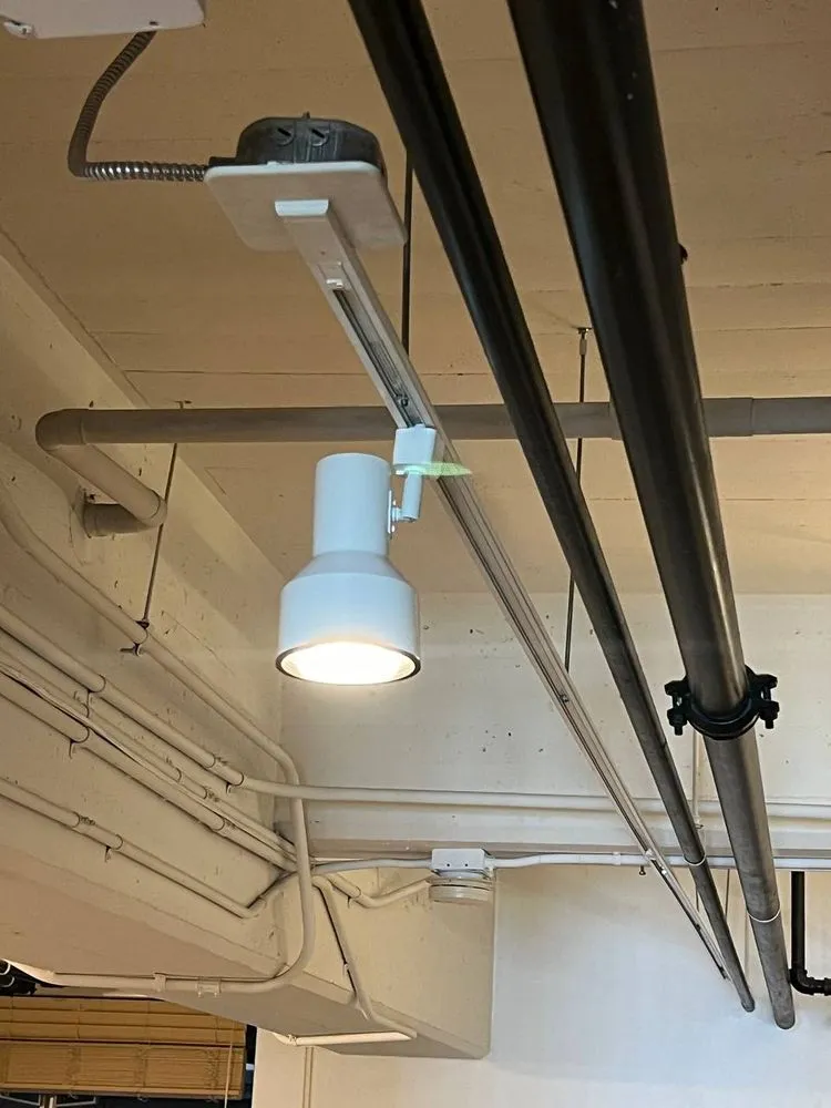 Slide of Skilly Hand