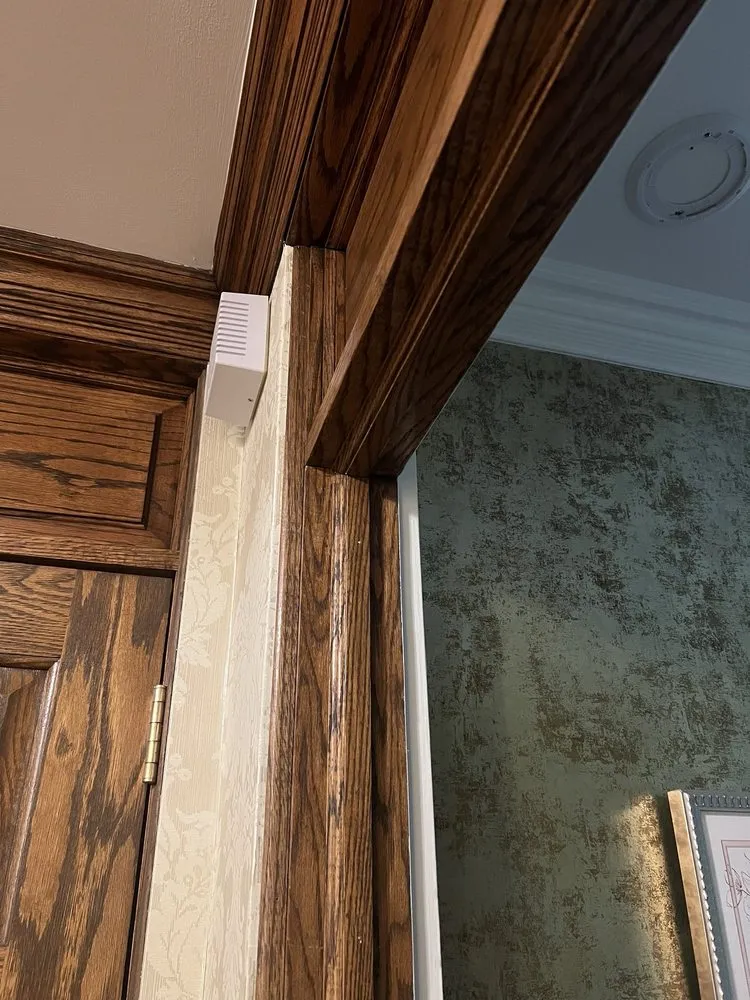 Slide of Skilly Hand