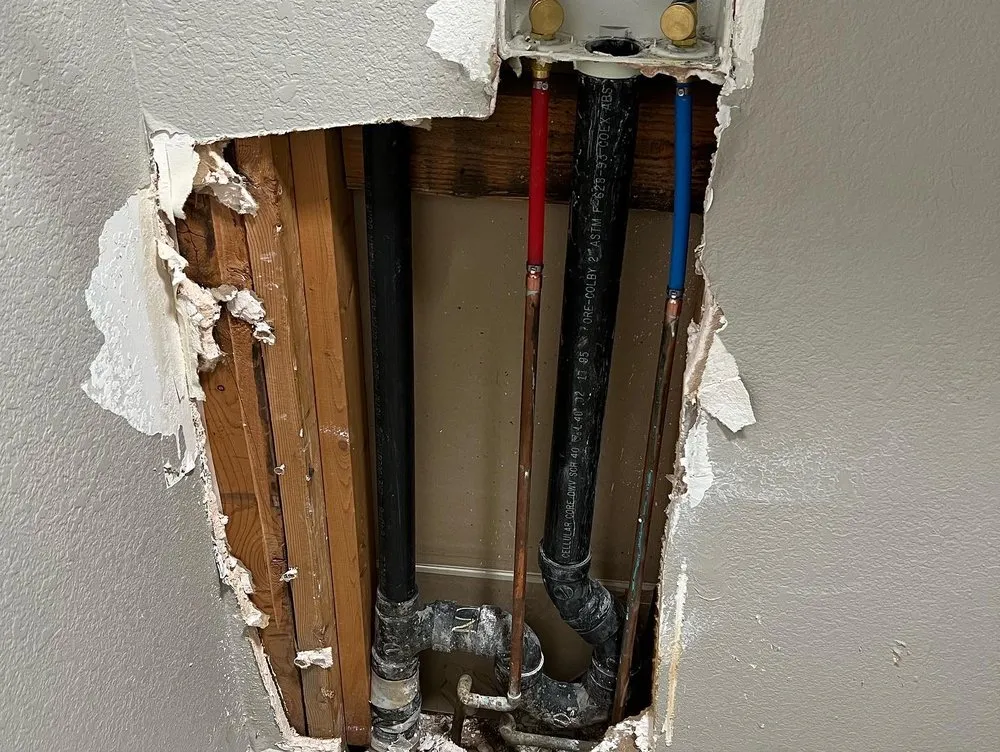 Slide of Skinny’s DREAM HOME enhancements