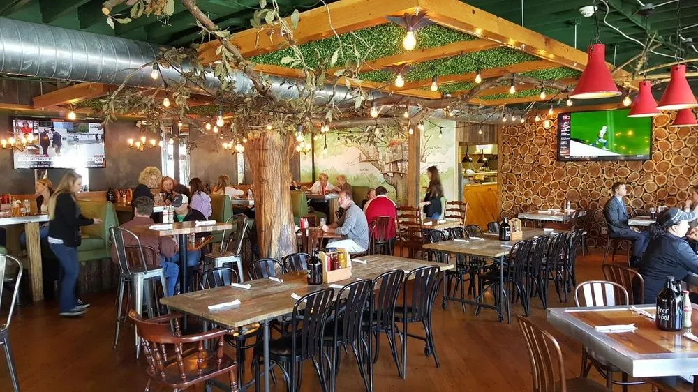 Slide of Sky Electric