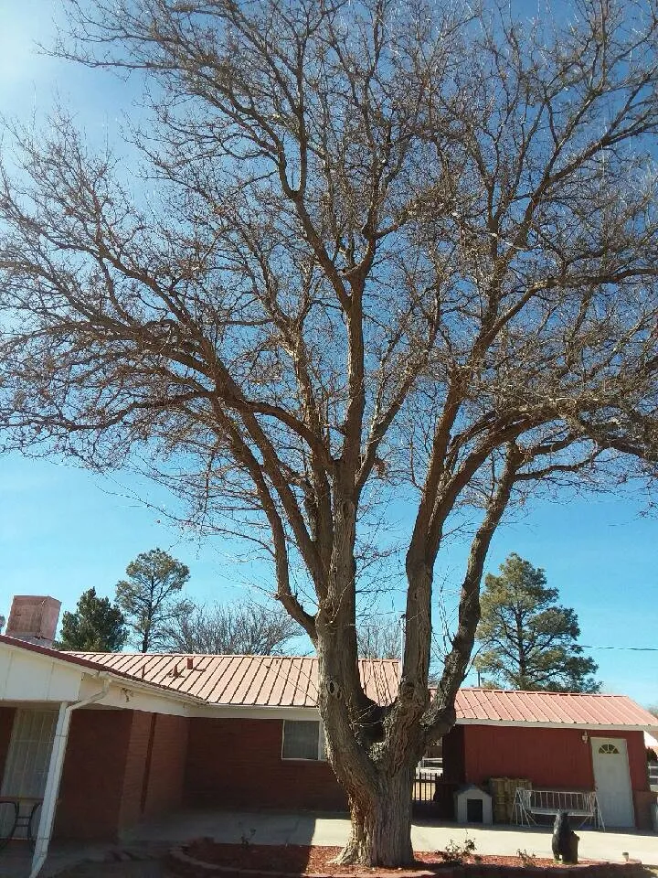 Slide of Sky High Bucket Truck Services