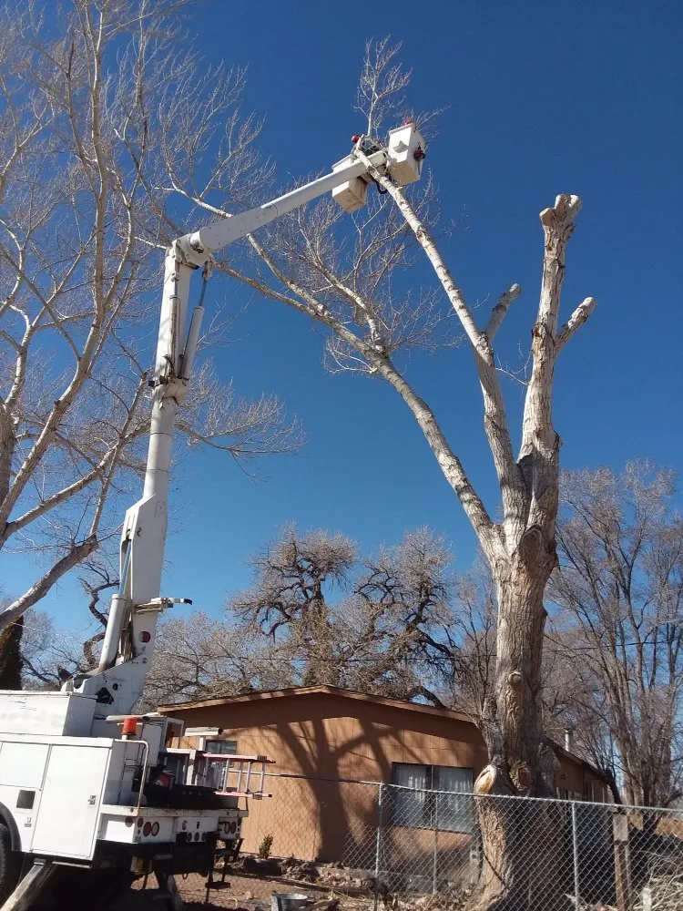 Slide of Sky High Bucket Truck Services