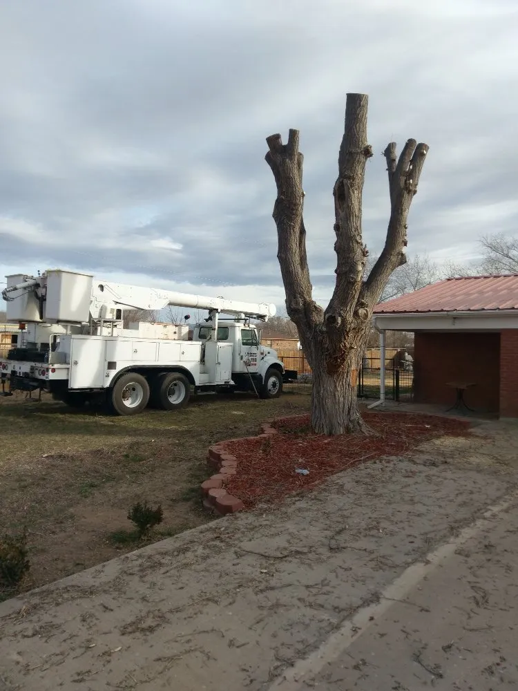 Slide of Sky High Bucket Truck Services