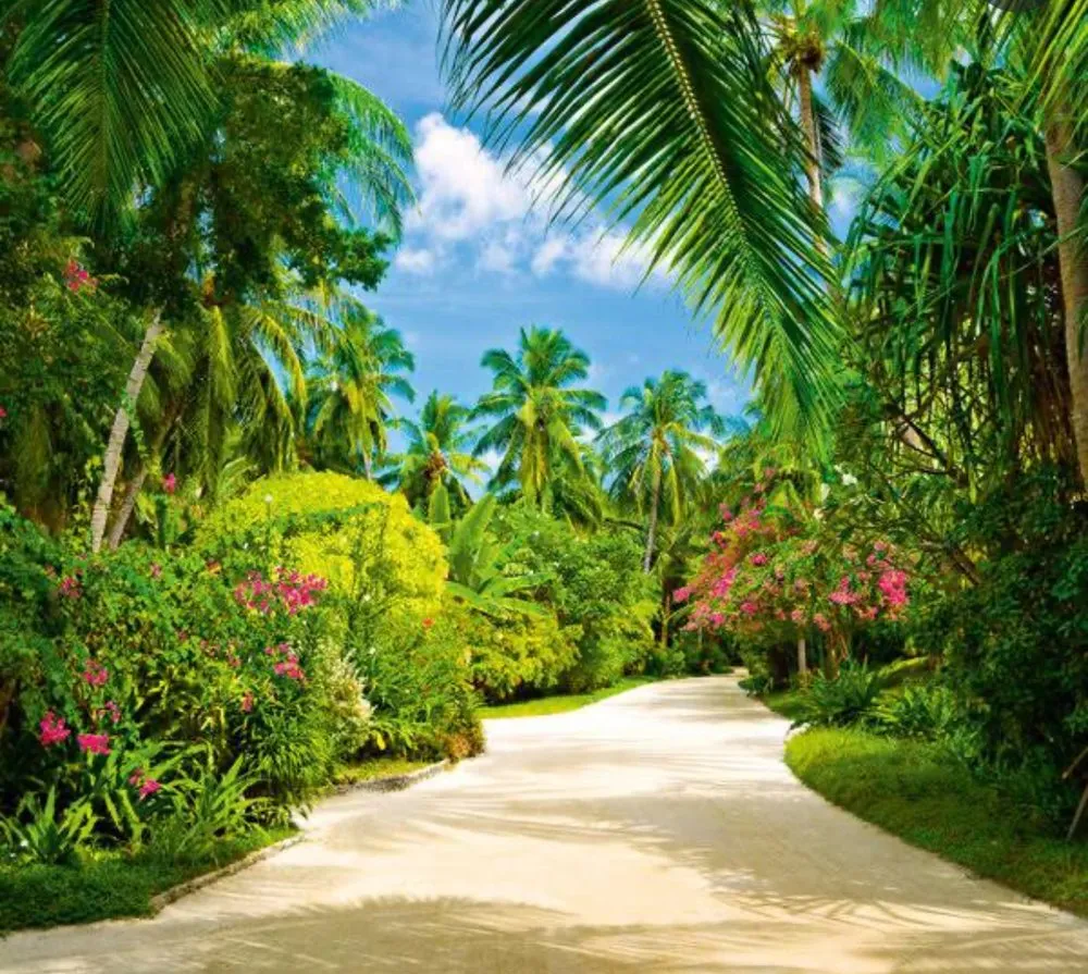 Slide of Sky Interprise