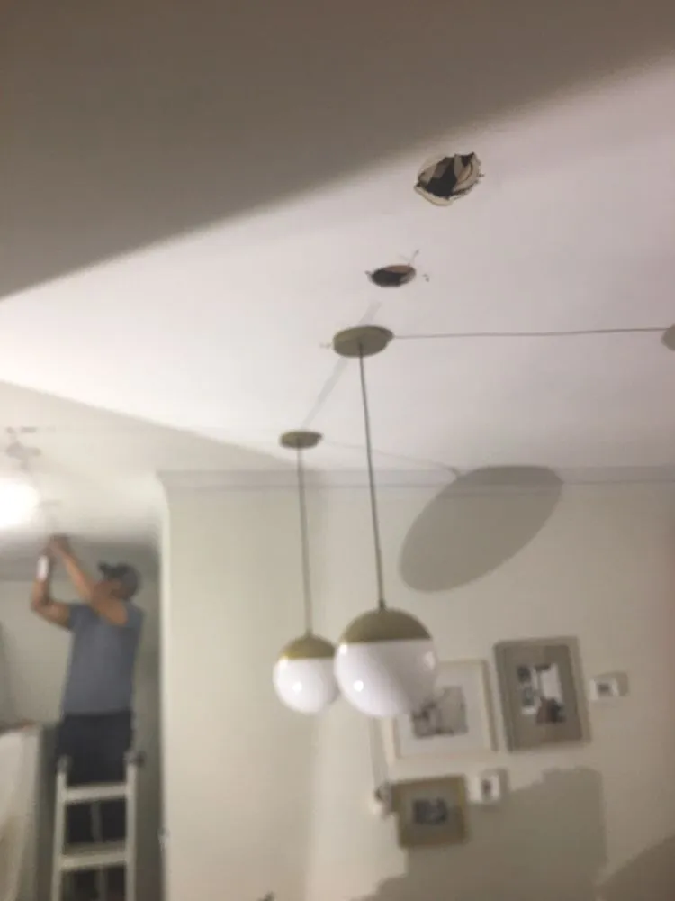 Professional electrical service for homes in panel upgrade, by