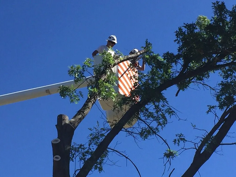 Slide of Slate Belt Electric
