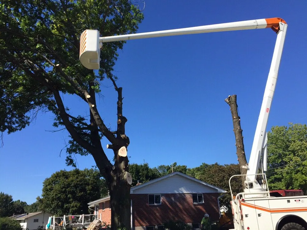 Slide of Slate Belt Electric