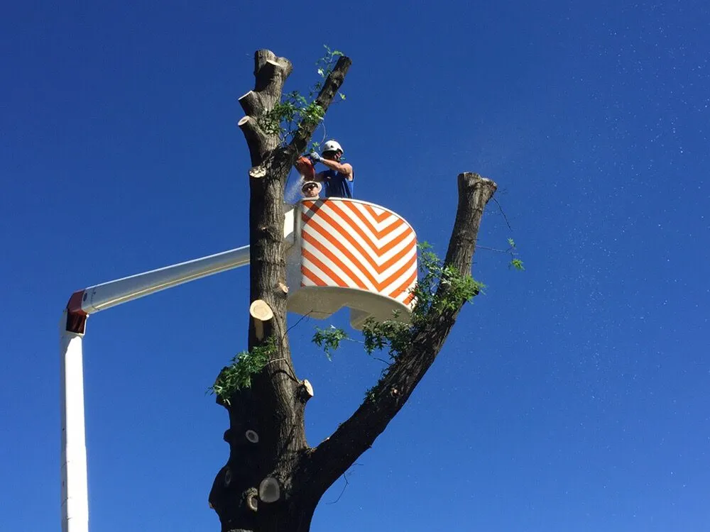 Slide of Slate Belt Electric