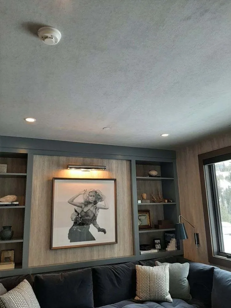 Professional electrician providing panel upgrade in ,