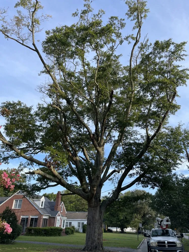 Slide of Smith Service