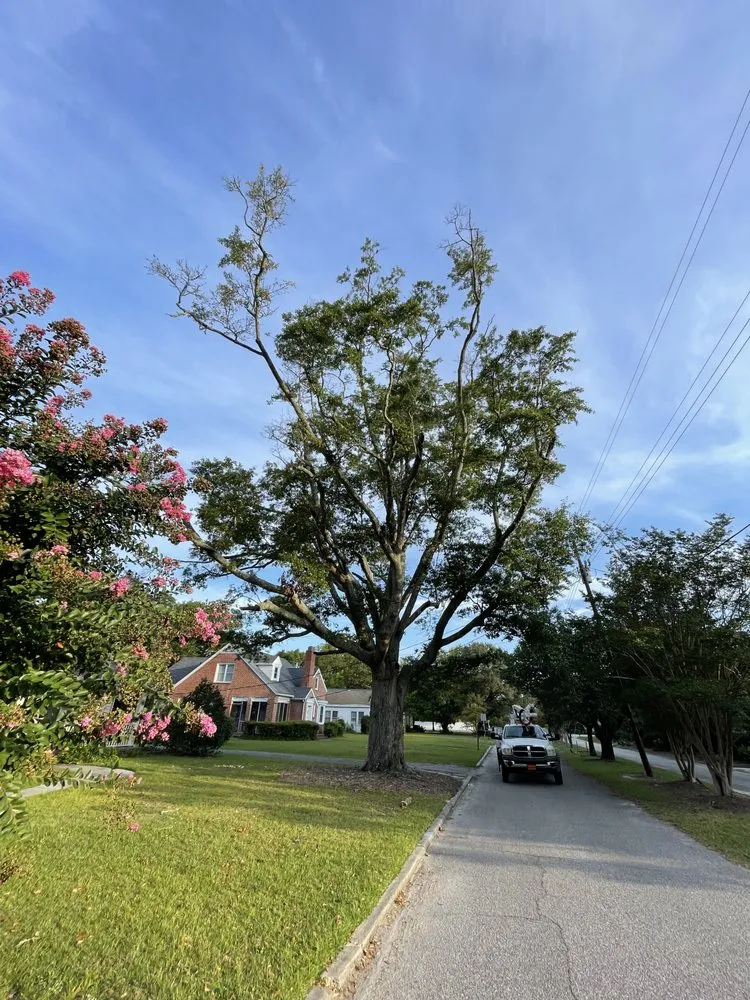 Slide of Smith Service