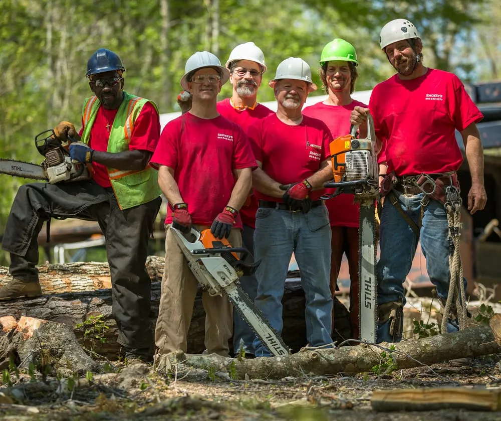 Trusted panel upgrade service in Hayes, VA - Smokey's Tree & Electrical Service