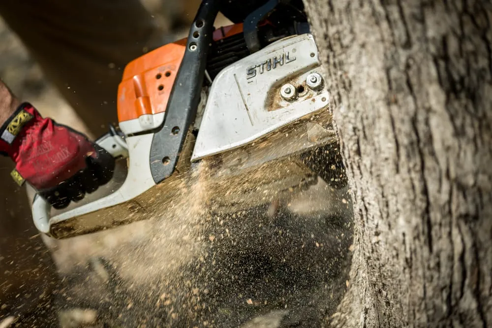 Expert panel upgrade in Hayes, VA by Smokey's Tree & Electrical Service
