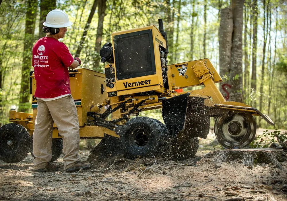 Trusted wiring installation service in Hayes, VA - Smokey's Tree & Electrical Service