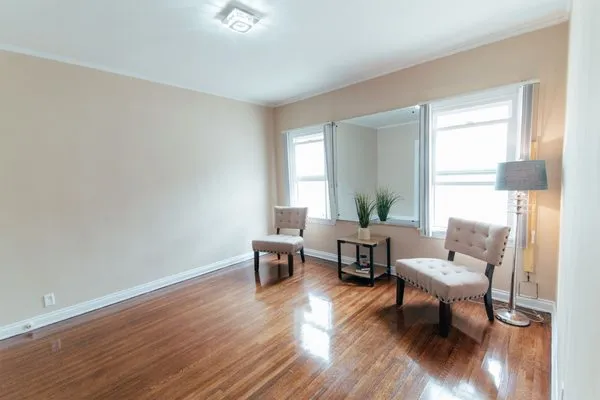 Snyder Electric Logo