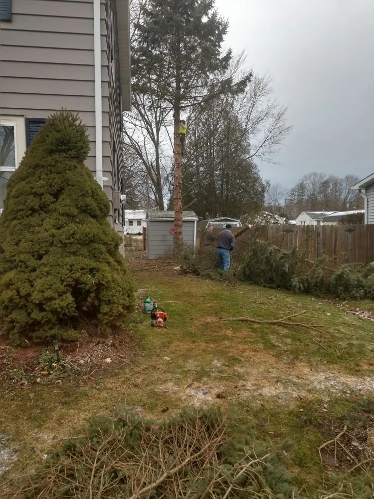 Affordable electrician providing wiring installation in Waterloo, NY - Sobus Estate Services