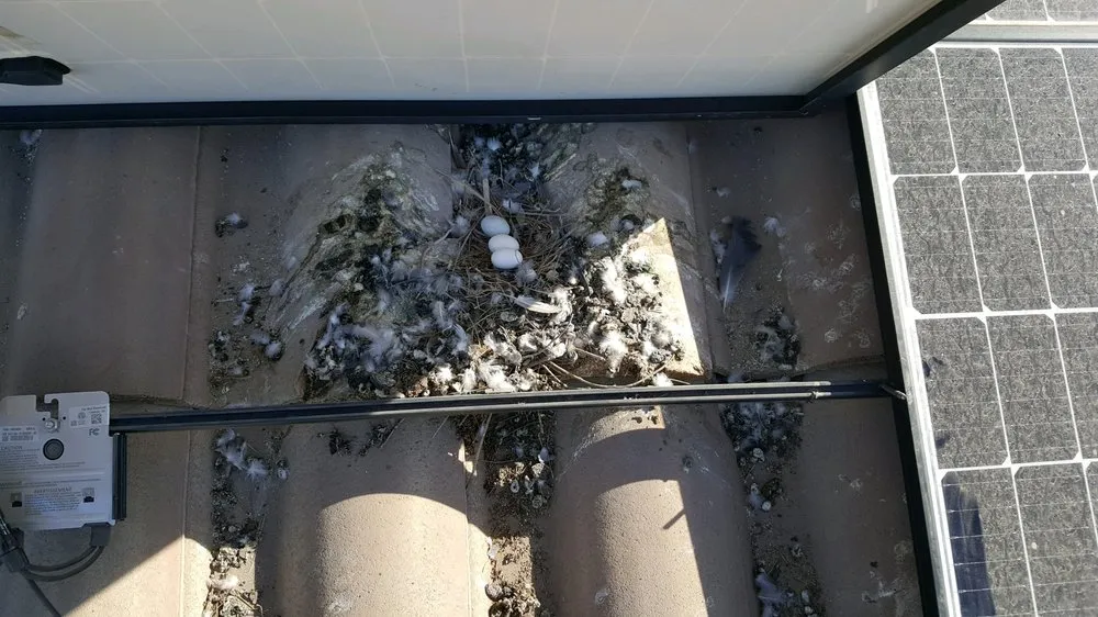 Affordable emergency electrical service in ,  by Solar Detach & Reset