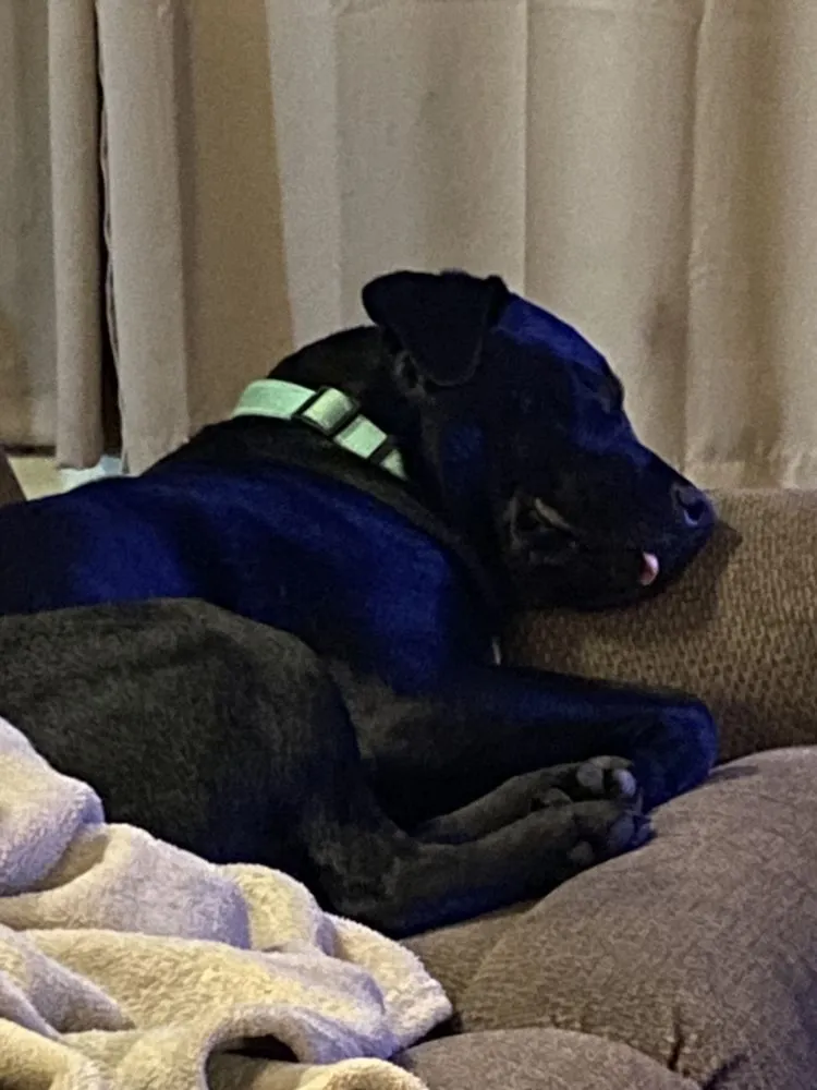 Slide of Solar Flare MT