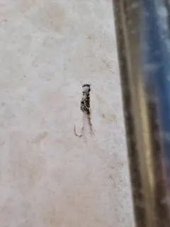 Slide of Solar Store